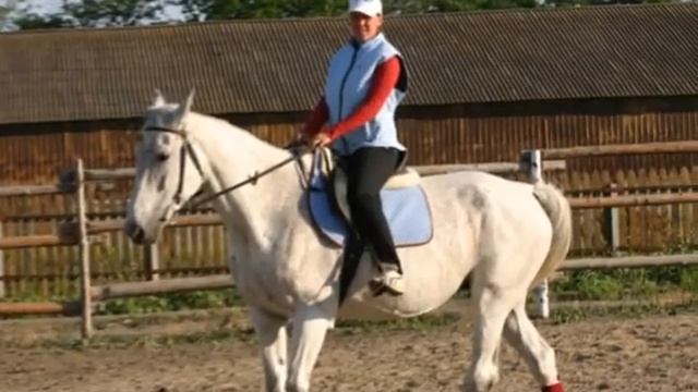 Кубанский хутор 4 смотреть онлайн