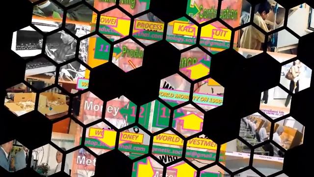 lanna nobile 1993-2015 WORLD ORCHIDS BIOLOGY TO MOBILITY IN REUNION ISLAND FOR INVENTION #GDP70PER смотреть онлайн