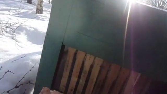 Стеклянный улей 17.02.2019 смотреть онлайн