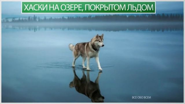 25 не реально красивых и странных ФОТО смотреть онлайн