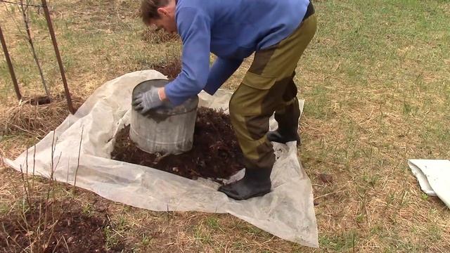 ДОЖДЛИВАЯ ВЕСНА | РИСОВАНИЕ НОВОЙ КАРТИНЫ | ГРЯДКА ПОД ТЫКВЫ | КОШКА С ЯЩЕРИЦЕЙ | МЕРЯЮ ОЗЕРО смотреть онлайн