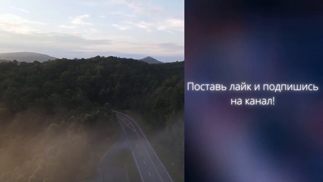 Отношение Ахлю-Сунна к ошибкам учёных | Шейх Абу Яхья смотреть онлайн