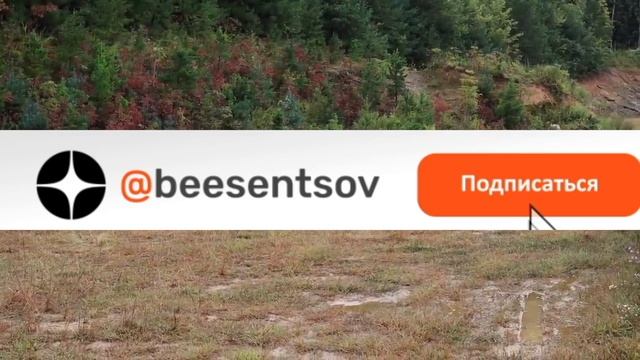Как пчеловоду обновлять ульи на пасеке и диверсифицировать свой доход? Боб Бинни (США) смотреть онлайн