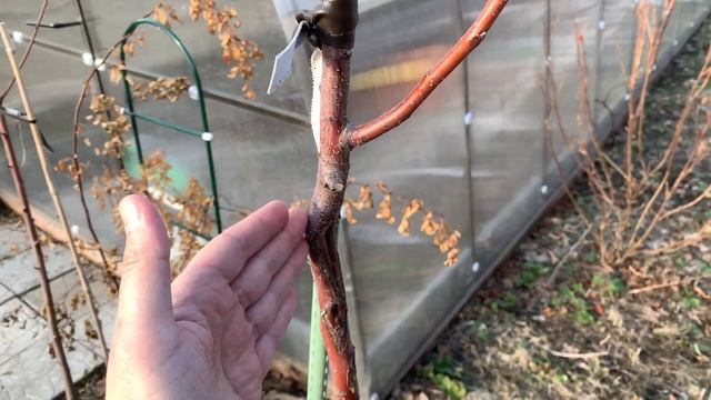 ДВОР МЕЧТЫ – 5 идей, как ДЕШЕВО облагородить участок! благоустройство территории частного дома смотреть онлайн