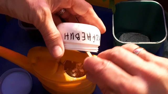 Пикирую томаты  для теплиц,12. 03. 20г.