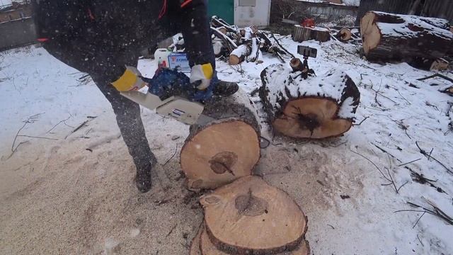 Тест самых мощных китайских бензопил EMAS 365 против ZOMAX 6510