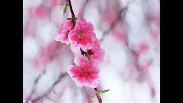 Моё хобби) смотреть онлайн