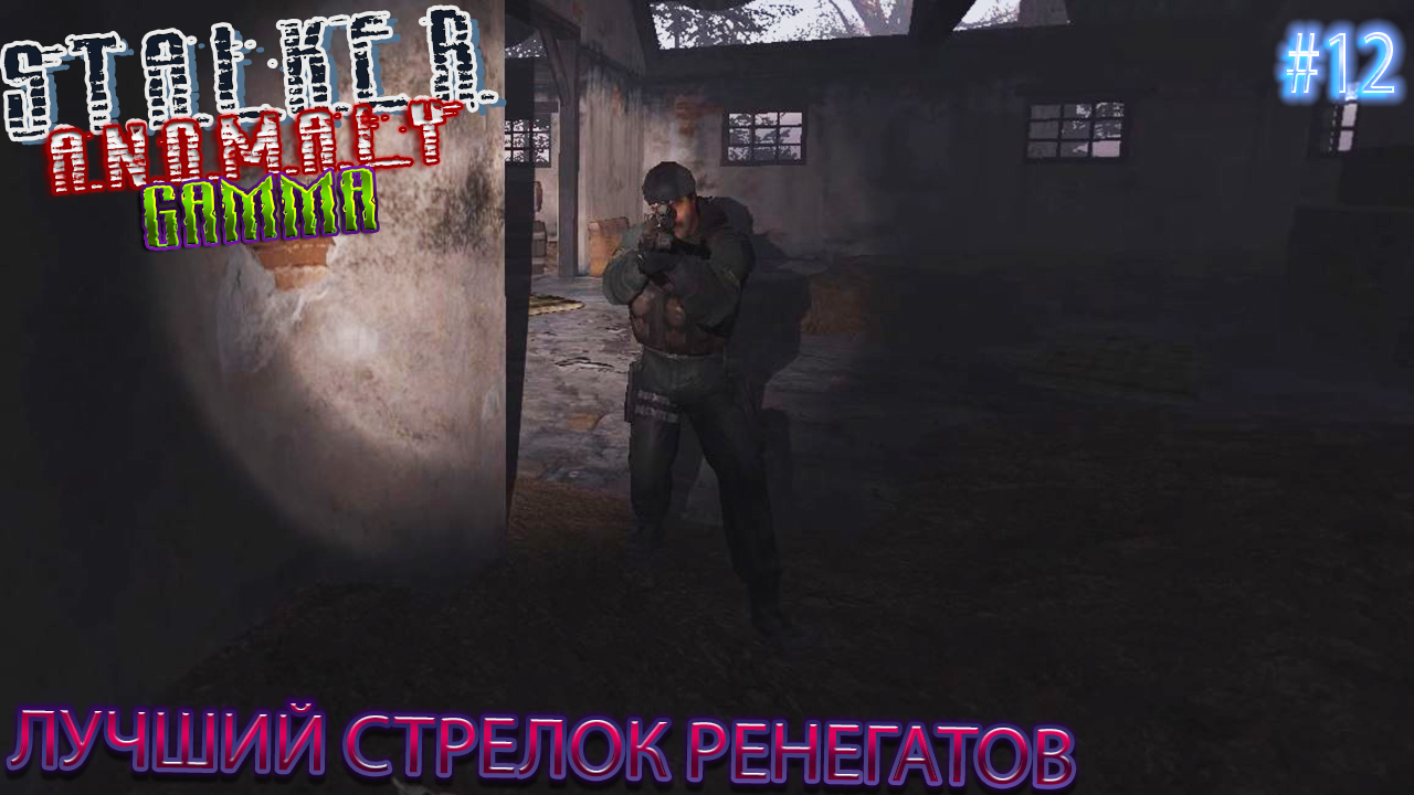 ЛУЧШИЙ СТРЕЛОК РЕНЕГАТОВ | STALKER ANOMALY GAMMA | Серия 12