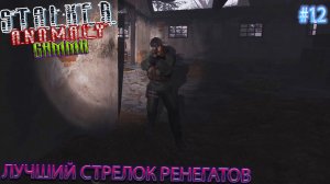ЛУЧШИЙ СТРЕЛОК РЕНЕГАТОВ | STALKER ANOMALY GAMMA | Серия 12