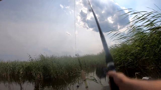 Поклёвки Синеглазовского карася смотреть онлайн