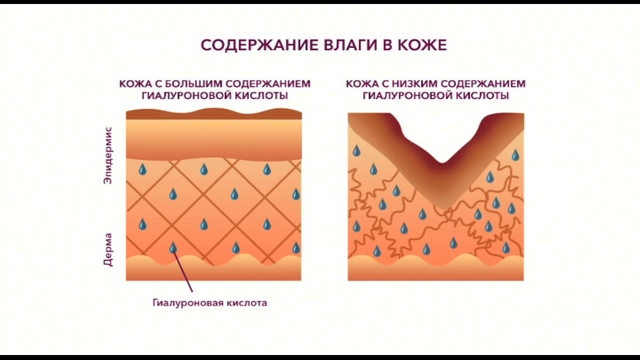 Shop & Show (красота). 001060245 cыворотка Ботуло Эффект смотреть онлайн