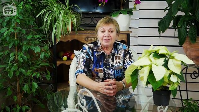 Как правильно вырастить малину рядом с ежевикой? ➡ Урожайный сад с Хитсад мастер-класс малина смотреть онлайн