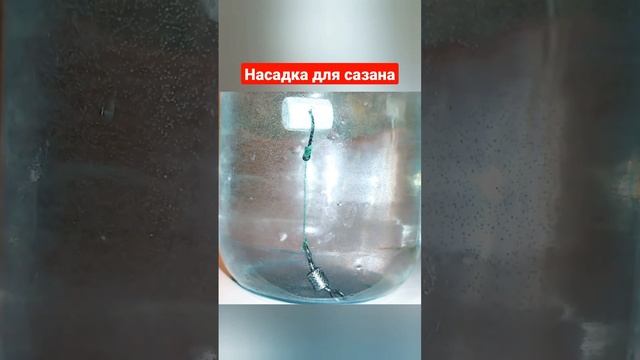 Насадка наживка для сазана. Рыбалка 2023 для начинающих новичков. смотреть онлайн