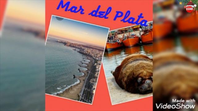 Димаш объединил нас! / Письмо от Dears из Аргентины [SUB]