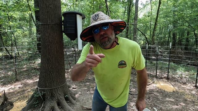 Biggest WILD HOG Catch to Date! The Great Pig Escape! смотреть онлайн