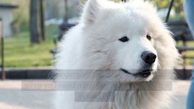 This is More Important Than Going to the Gym смотреть онлайн