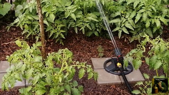 Поливалка. смотреть онлайн