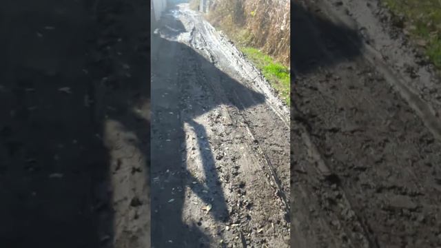 Дачинский улицы Алматинской области Илийский район дачи Урожай смотреть онлайн