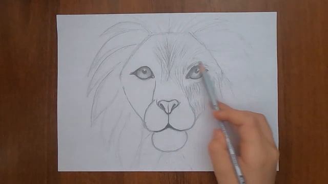 Как нарисовать Льва/Шерсть карандашом/ Рисунок/ How to draw Leo's wool with a pencil. смотреть онлайн