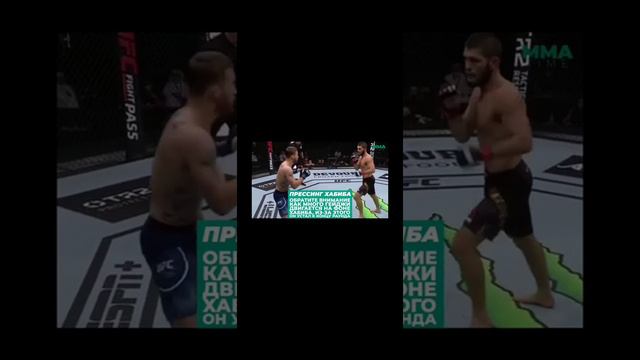 Прямая Трансляция боя Хабиба и Гейджи полный бой UFC-254 обзор боя... смотреть онлайн