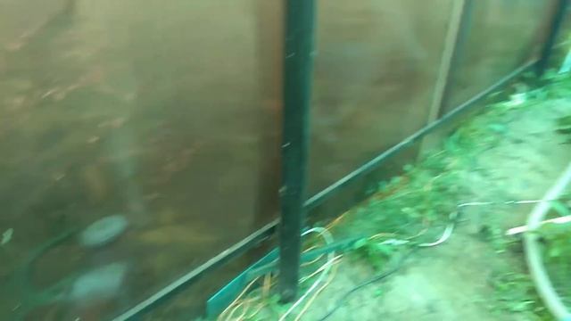 ОБОГРЕВ БАССЕЙНА дровами (твердотопливный котел) смотреть онлайн