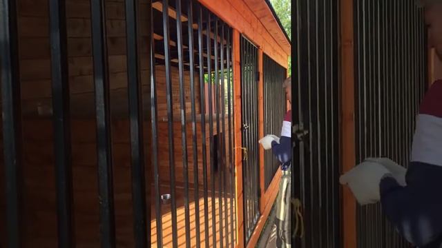 Вольер 6/2 для крупной собаке смотреть онлайн