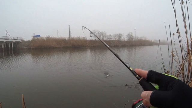 Яма с сомом в маленьком канале. Попали на стаю сома! Сазан и сом в январе ! смотреть онлайн