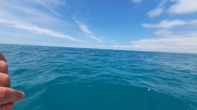 АНАПА - МОРСКАЯ РЫБАЛКА НА СТАВРИДУ - В ОТКРЫТОМ МОРЕ 89604919777 Эдуард смотреть онлайн