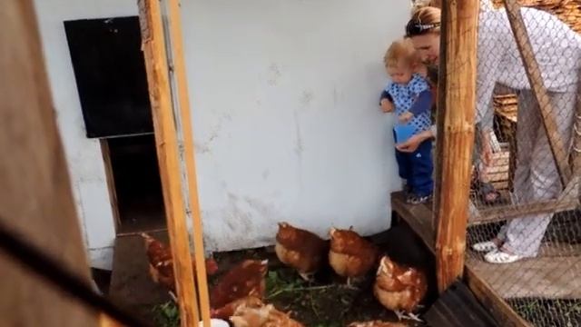 Что я за птица ? смотреть онлайн