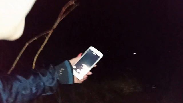 СТРАШНЫЕ ПРЯТКИ ОТ КЛОУНА в ЛЕСУ! смотреть онлайн