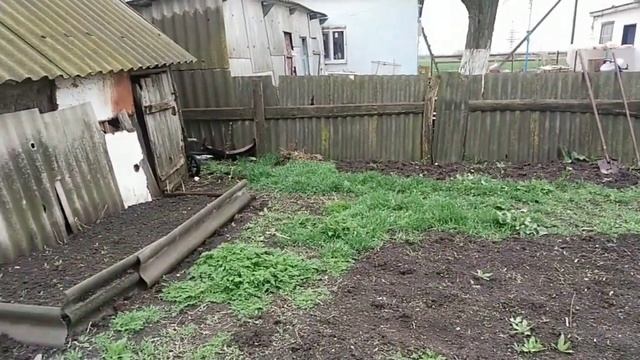 утепляю рассаду к заморозкам, посадки под дождём смотреть онлайн