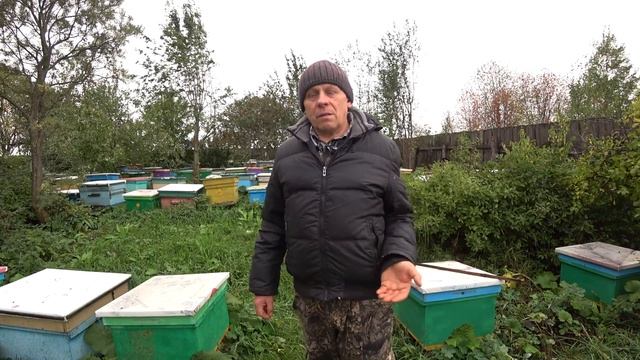 ТРИ ОСНОВНЫХ ФАКТОРА УЙТИ ОТ ПОЗДНЕГО РАСПЛОДА МАТКИ, ПЧЕЛОВОД СДЕЛАЙ ЭТО И БУДЬ СПОКОЕН. смотреть онлайн