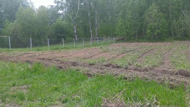 Вспахиваю участок и сажу газон смотреть онлайн