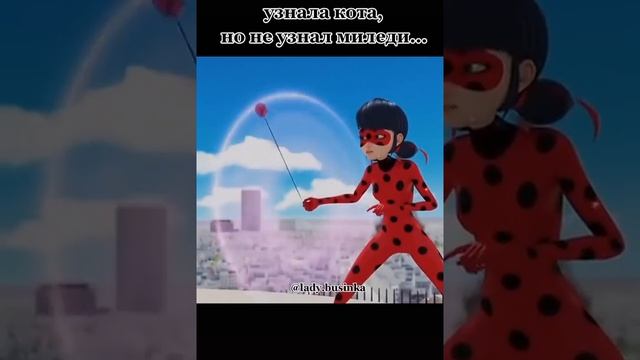 узнала кота но не узнал миледи...