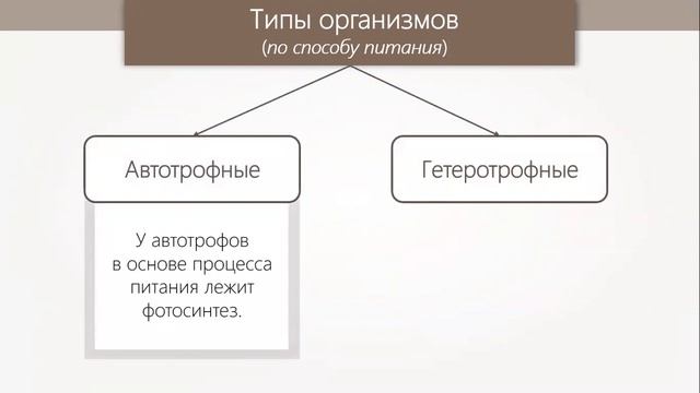 Обмен веществ и энергии. Фотосинтез смотреть онлайн
