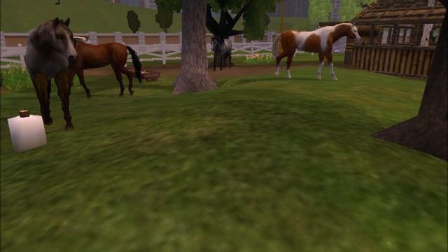 Horse Downloads On Zoo Tycoon 2 смотреть онлайн