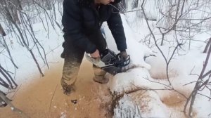 БЕНЗОПИЛА ZimAni PRO в работе. Честный отзыв от пользователя