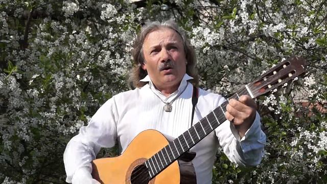 Ах, вишня Музыка и исп. Александр Сорочьев, слова Андрей Климов смотреть онлайн