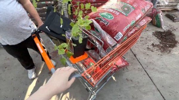 США Магазин The Home Depot Шопинг Влог