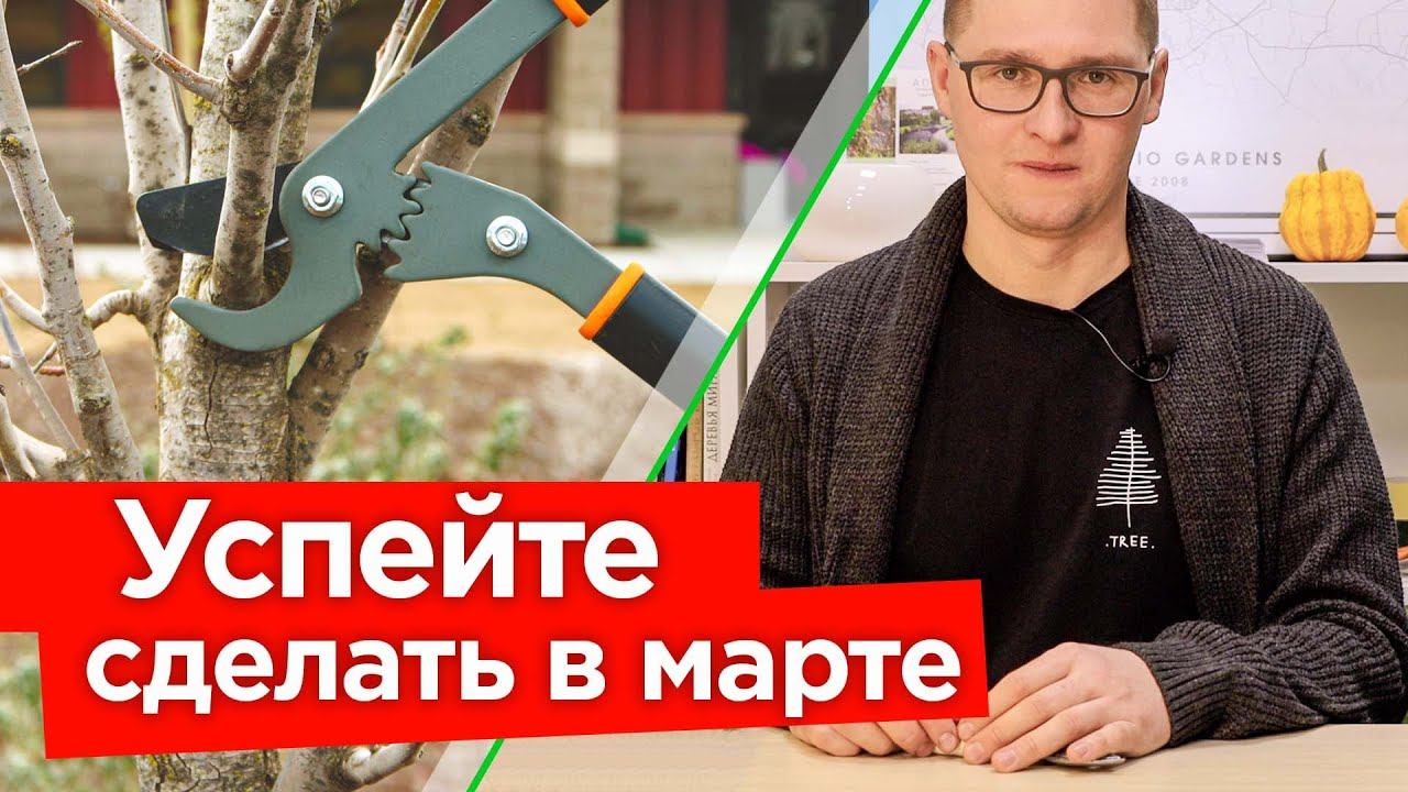 ВАЖНЫЕ РАБОТЫ В САДУ В МАРТЕ! Первая обработка и подкормка, обрезка деревьев и кустарников смотреть онлайн