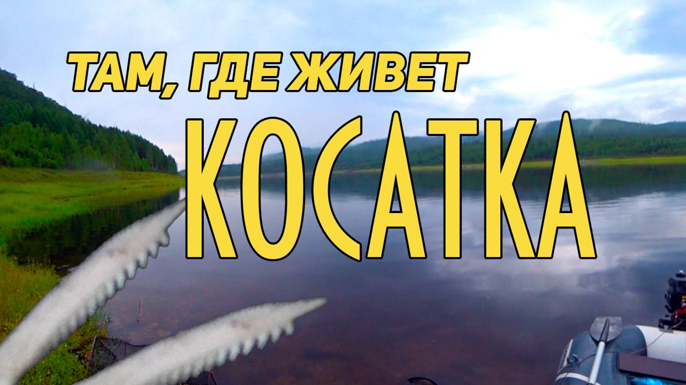 Как наловить косаток на уху Складываем шипы убираем слизь смотреть онлайн