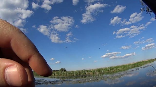 Рыбалка на карася в кувшинках. Рыбалка на поплавок. Душевная вышла рыбалка! смотреть онлайн