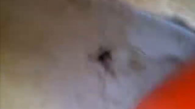 Kung Fu Ninja fighting Bug смотреть онлайн