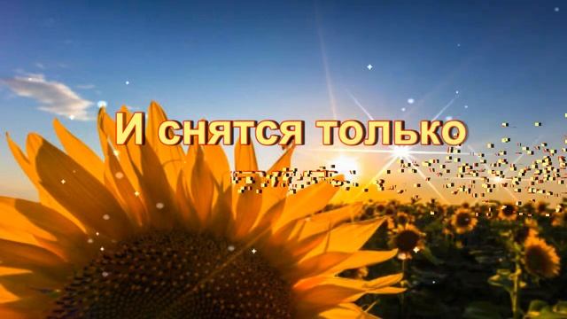 СПОКОЙНОЙ НОЧИ! СЛАДКИХ СНОВ! ⭐? смотреть онлайн