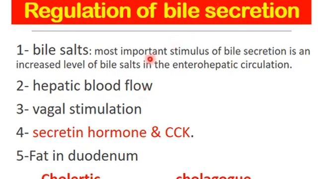 physiology of GIT module lecture 4 Liver and biliary system (Dr. Rehab Ahmed ) смотреть онлайн