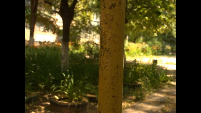 Медитация любимый уголок природы смотреть онлайн