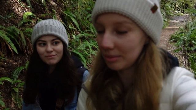 Мои друзья в Сиэтле и стоит ли ехать по Work and Travel 2021? смотреть онлайн