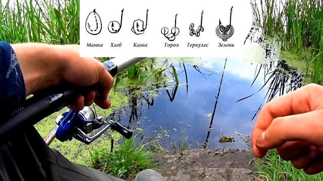 Красноперка. Хитрости лова или всё что нужно знать о краснопёрке. смотреть онлайн