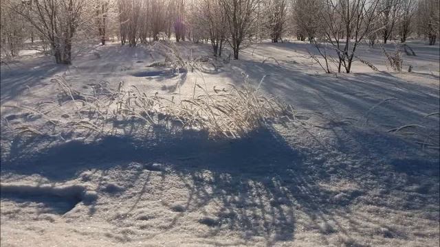 Этот большой мир Поёт Саша Григорьев. Запись со звуком смотреть онлайн