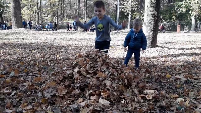 Саржин Яр Харьков 2019 ГДЕ ОТЛИЧНО ОТДОХНУТЬ С ДЕТЬМИ!!! смотреть онлайн